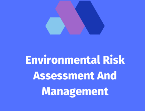 Environmental Risk Assessment And Management